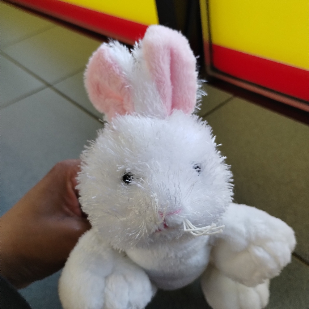✓Ganz Webkinz #HM078 WHITE BUNNY RABBIT Plush Stuffed Animal Toy (no code) - Picture 7 of 12